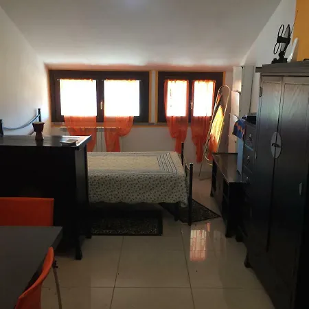 Ragno Poggio Bustone