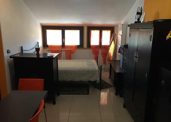 Ragno Poggio Bustone